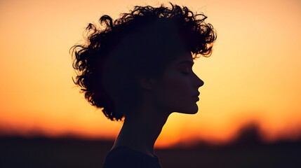 Dramatic Sunset Silhouette of a Person Against Vibrant Horizon, Hair shine radiates confidence concept.