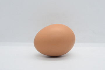 a chicken egg in the shell