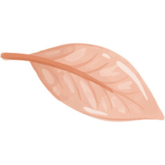 A detailed sakura leaf portrayed in watercolor emphasizing its elegant vein structure