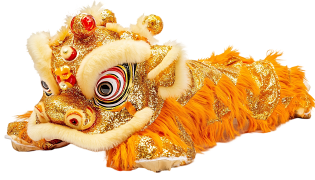 Chinese lion dance costume, vibrant gold, detailed. Possible use for display, education