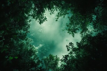 Fototapeta premium Misty forest canopy viewed from below, lush green foliage. Ideal for fantasy, mystery, or nature themes, evokes tranquility and magic.