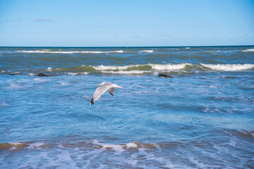 A beautiful coastline near Hirtshals in northern Jutland, Denmark, featuring a sandy beach and the blue waters of the North Sea under a clear sky