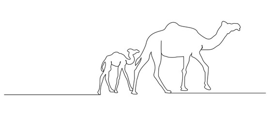 camel line art.eps
