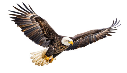 Fototapeta premium A bald eagle flying with an American flag background on a transparent background.