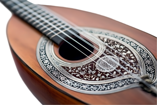 Ornate mandolin close-up, intricate design
