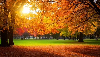 A perfect fall day with colorful leaves at a park