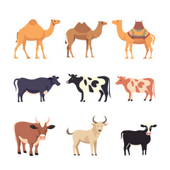 Vector Illustration Set of Hand Drawn Eid Al-Adha Livestock.
