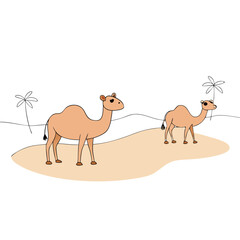 Fototapeta premium camel on the beach