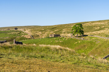 Landscape in the Peak District near Coalcleugh, England, UK