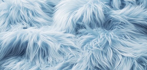 Obraz premium Natural gradients and fluffy textures on layered pastel blue fur.