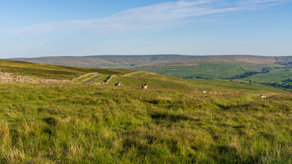 Obraz premium Peak District Landscape between Rookhope and Ireshopeburn, England, UK
