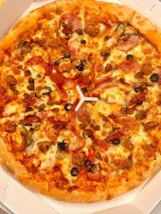 A delicious pizza with a golden crust, melted cheese, and savory toppings. Perfect for food-related designs, menus, or Italian-themed projects, capturing the essence of a classic comfort dish.
