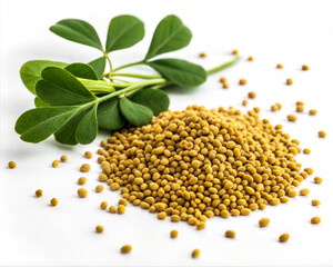 Exotic Organic Spices, Vegetables & Fruits &ndash; Natural Food Flat Lay from South Asia.