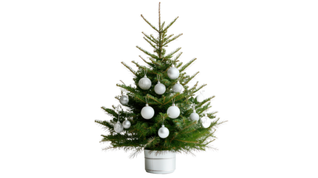 A beautifully decorated Christmas tree adorned with white ornaments, creating a festive atmosphere for holiday celebrations and gatherings.