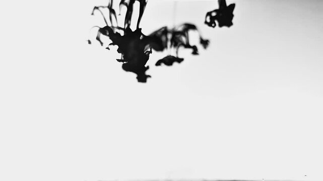 India ink 002