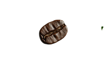 A close-up of a single roasted coffee bean showcasing its rich texture and deep color, perfect for coffee lovers and culinary enthusiasts.