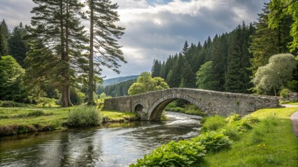 Fototapeta premium A charming stone bridge crossing a slow-moving river surrounded by lush greenery and towering trees, foliage, rural, serenity, trees