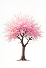 Cherry Blossom Tree