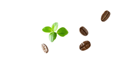 A fresh green herb leaf surrounded by roasted coffee beans, symbolizing the perfect blend of nature and culinary delight.