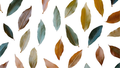 Autumn leaves pattern on black background. Use Stock photo