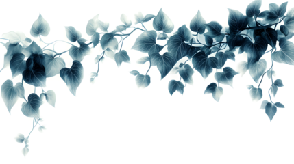 abstract blue background with flowers, PNG files, transparent background