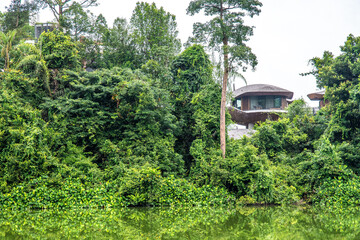 The views along the Mandai Boardwalk in Singapore 