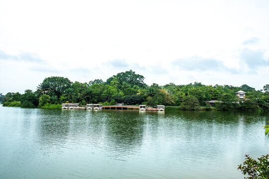 Upper Seletar Reservoir in Singapore