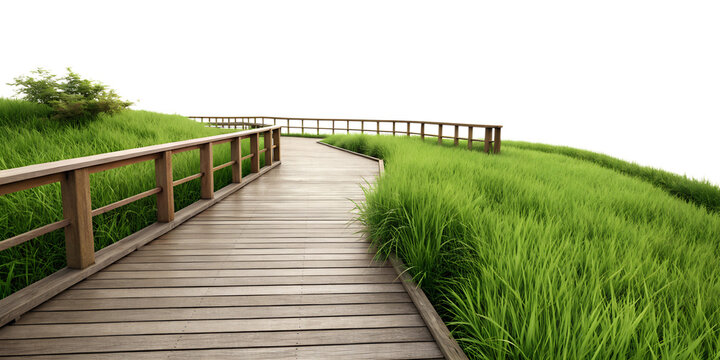 wooden terrace with green grass isolated on a white background, png