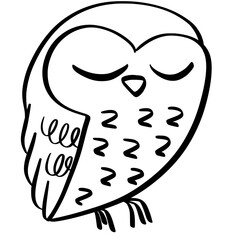 Wisdom Owl Outline Illustration