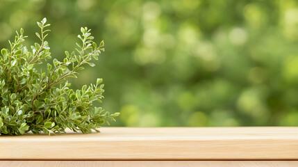 Fresh green sprig on a light wooden surface against a blurred green background. Ideal for product display or nature-themed designs.