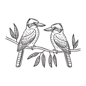 A pair of kookaburras perched on a branch in a eucalyptus forest.