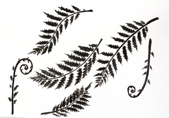 Hand-painted poster back ink with brush . Fern leaf background.