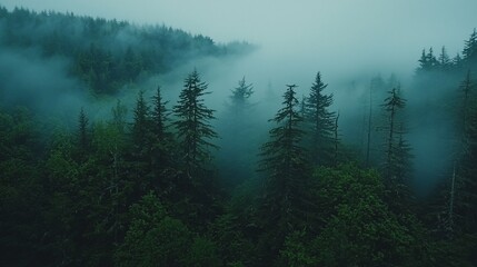 Misty mountain forest, aerial view, tranquil nature scene, perfect for travel brochures