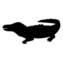 Crocodile