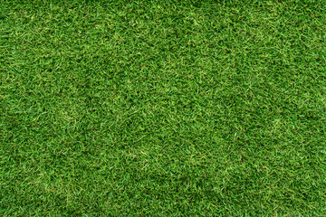Lush green grass texture, perfect for backgrounds or design elements.  Vibrant, healthy lawn, ideal for spring/summer themes.