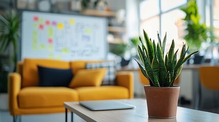 Modern office plant, yellow sofa, workspace background