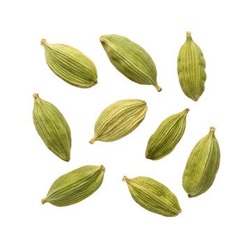 Top view of green cardamom pods for spice and flavor concept