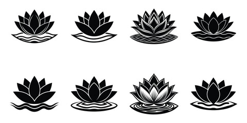 black and white flowers