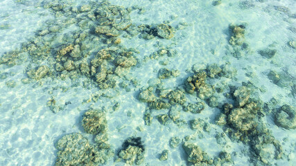 Top view, sandy beach background for summer vacation concept. Nature of beach and summer sea water with sunlight, sparkling sea water, coral reefs, underwater.	