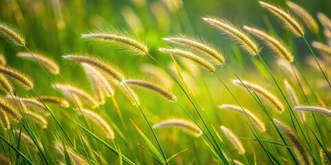 Golden Hour Meadow  A serene landscape featuring delicate, sunlit grass swaying gently in a summer breeze, capturing the warm hues of a tranquil sunset.