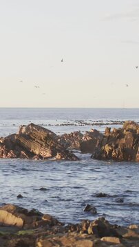 Seagulls fly over a serene coastal landscape at sunset