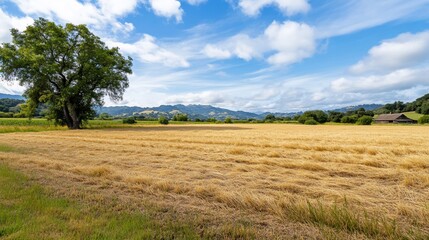 Obraz premium Harvested field, valley view, sunny day, rural landscape, idyllic postcard