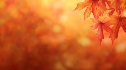 Fototapeta premium Vibrant Autumn Maple Leaves Background Image Perfect for Fall Designs and Seasonal Greetings