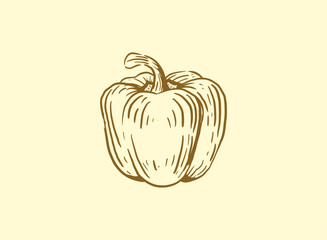 Illustration of an Fresh Vegetables Paprika Handdrawn
