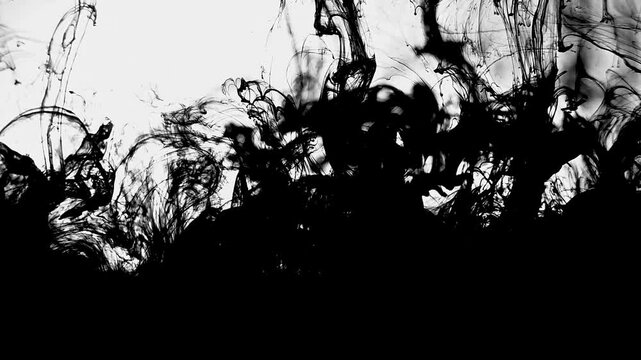India ink 008