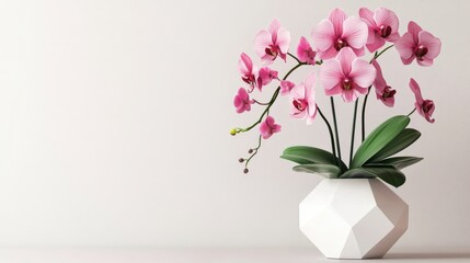 A pink orchid in a minimalist white vase.