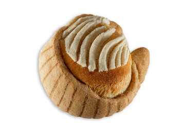 Pan Dulce Mexicano Concha - Panadería Tradicional