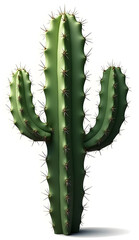 Naklejka premium High-Resolution Cactus for Various Uses