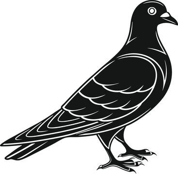 recommend clip art: Pigeon  silhouette