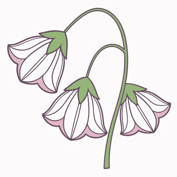 recommend clip art: Sweet Pea Flower Icon – Ruffled Petals & Climbing Vine Vector